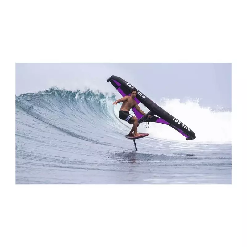 Aile de Wing TAKUMA Tanji Noir/Violet