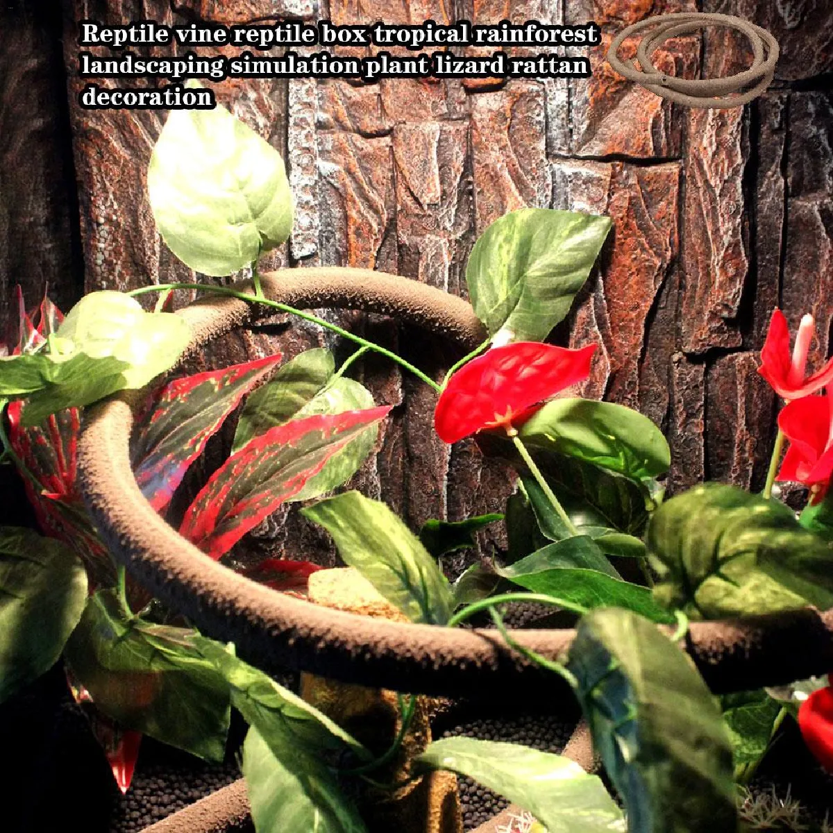 Décoration Habitat Reptiles - Universal