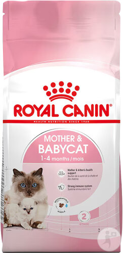 Royal Canin Cat Mother & Babycat Dry 10kg