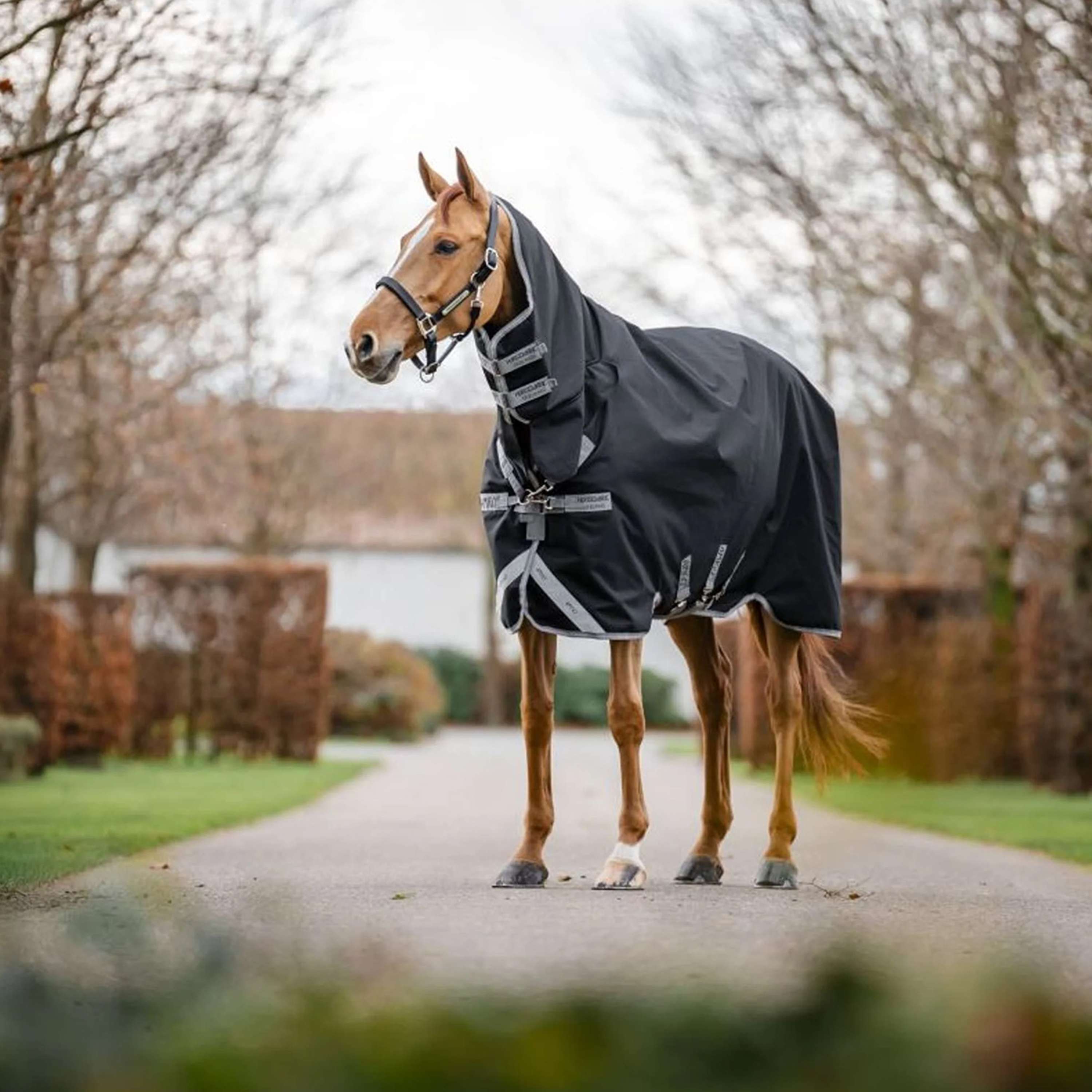 Amigo Turnout Rug Integrated 1200D 150g Black/Titanium Grey/Silver