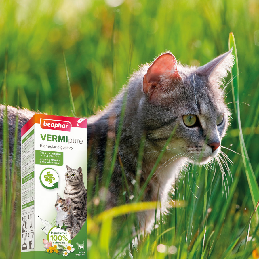 Beaphar VERMIpure Repelente Líquido Natural Interno para Gatos