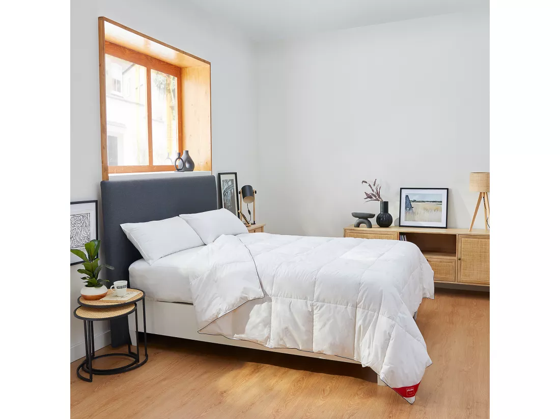 Couette nordique 96% duvet 220 gr automne/hiver