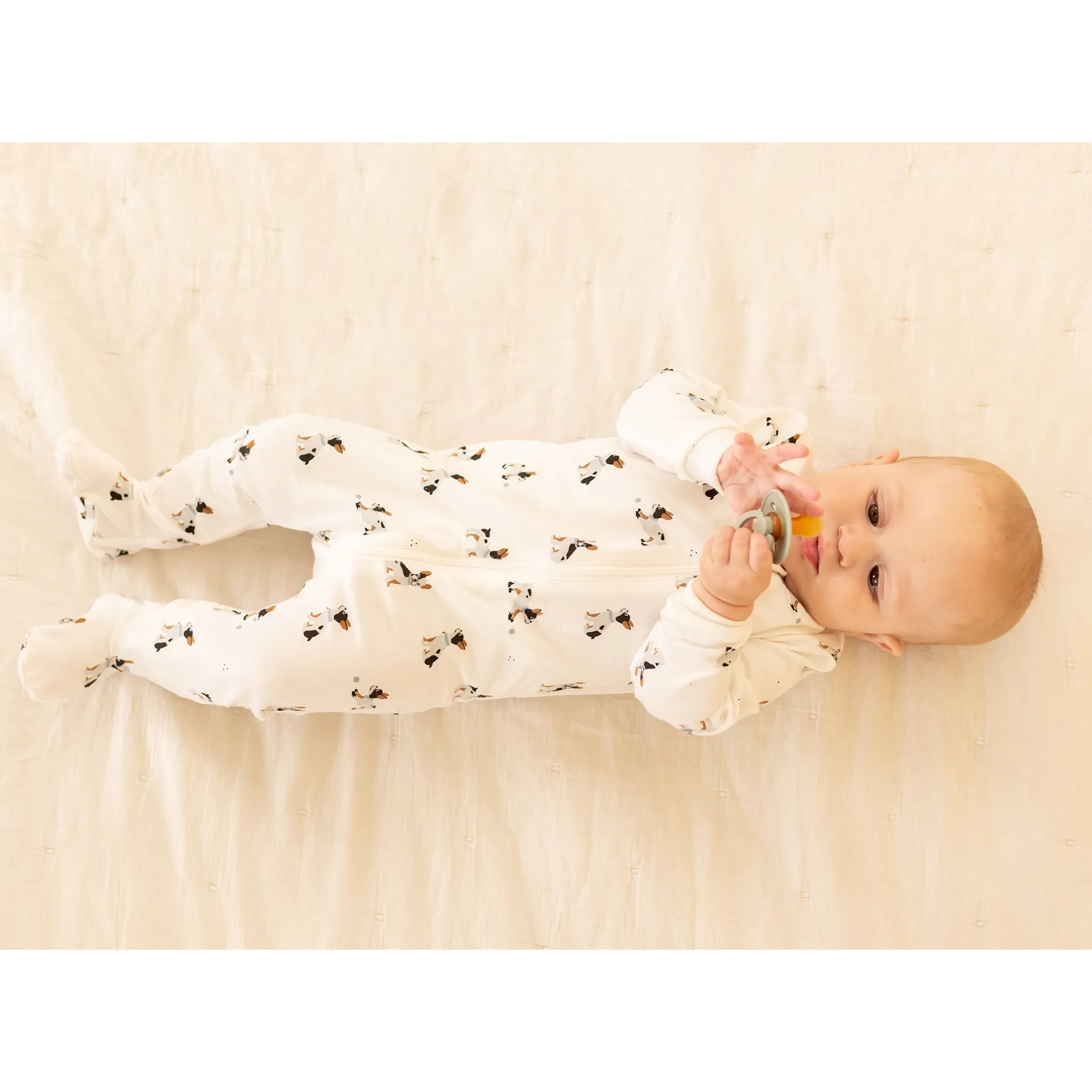 Firsts par Petit Lem Pyjama Bouledogue 0-12mois