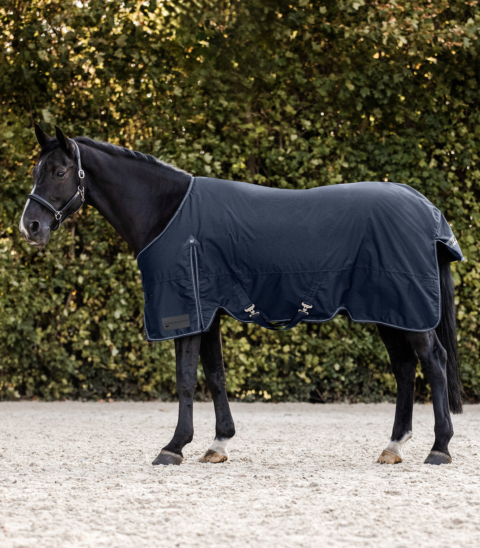 Waldhausen Arctic Light - Winterdeken - Paardendeken - Blauw - 115/165