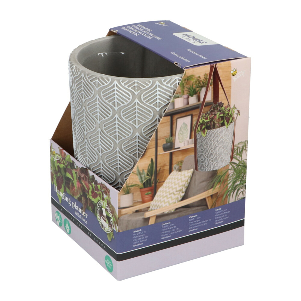 Buzzy House Plants Hangende Plantpot met Coleus zaden