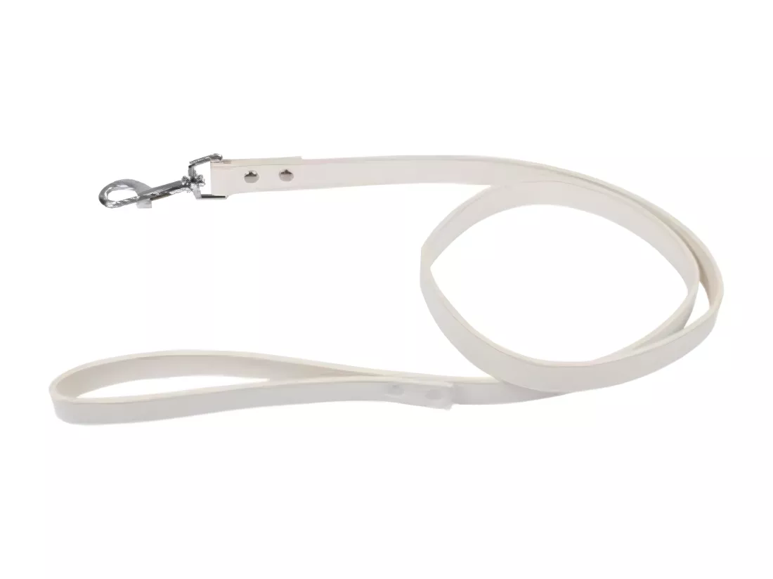 Laisse pour Chien 