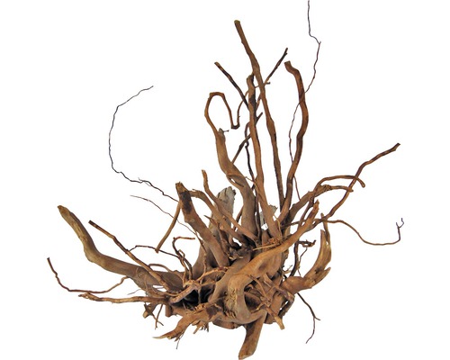 Aquariumdecoratie Vingerwortel 20-30 cm