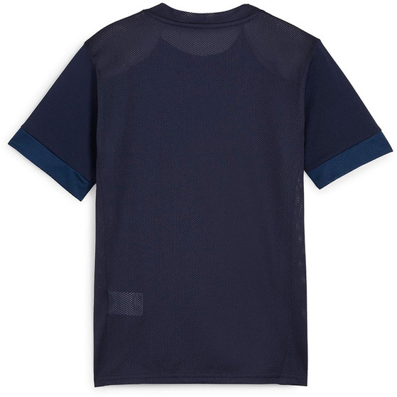 Puma GOAL Training Shirt Kids