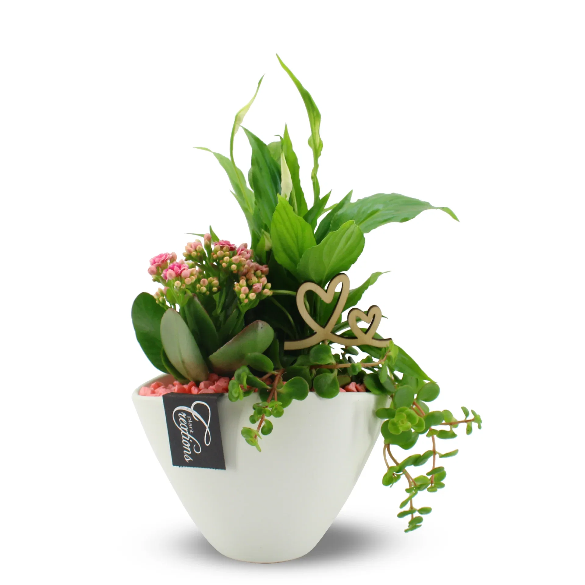 Blomstergruppe med rosa Calandiva Høyde 35 cm