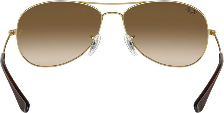 Ray-Ban COCKPIT Arista