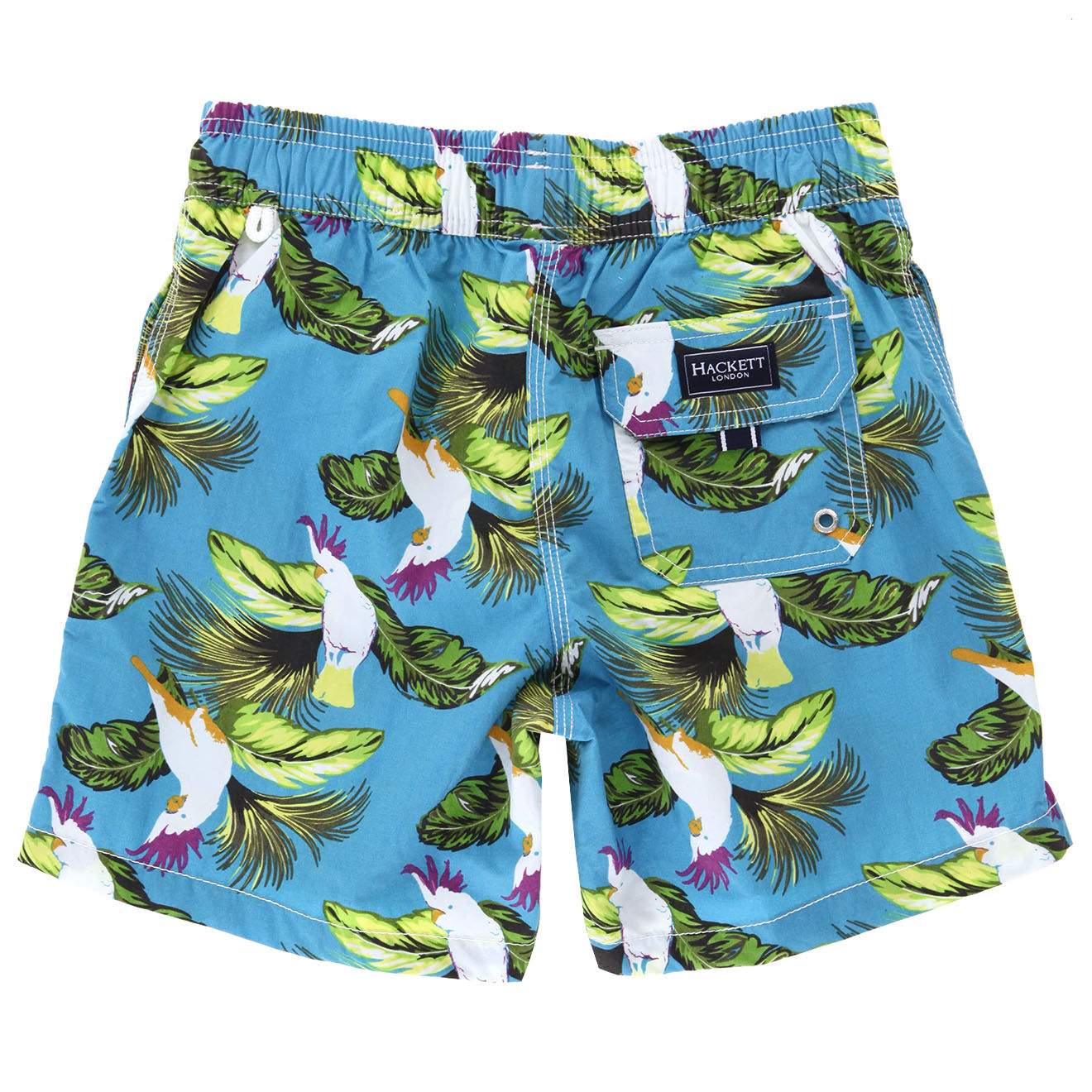 Hackett London Short de Bain Birds bleu/vert