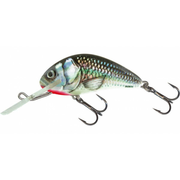 Salmo Hornet 2,5-3,5cm Sinking
