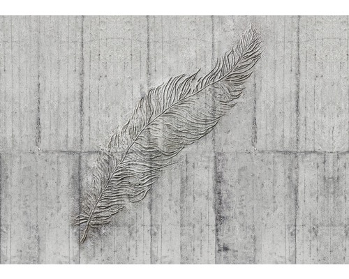 Vliesbehang X7-1023 Concrete Feather, 7-delige set, 350 x 250 cm