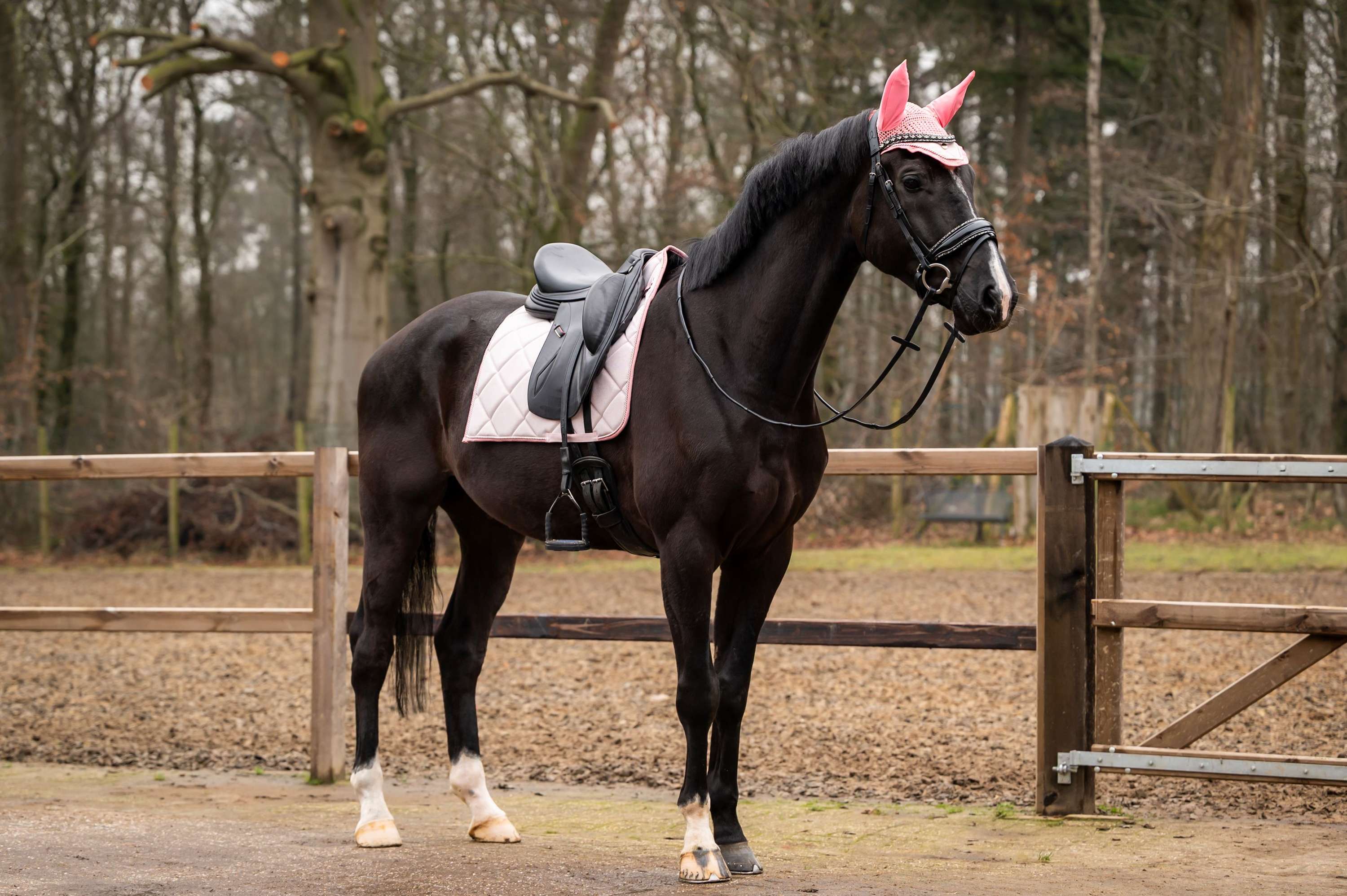 HB Showtime Zadeldekje Spring Dressuur Roze