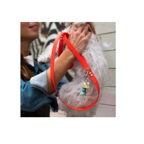 Coleira para cachorro da sorte Groc Groc, cor vermelha