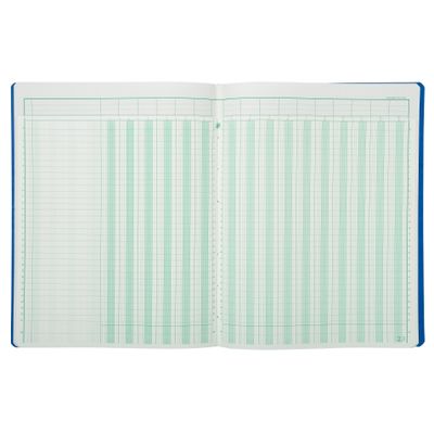 Exacompta - Piqûre à tête paresseuse - 16 colonnes sur 2 pages - 32 x 25 cm - 80 pages