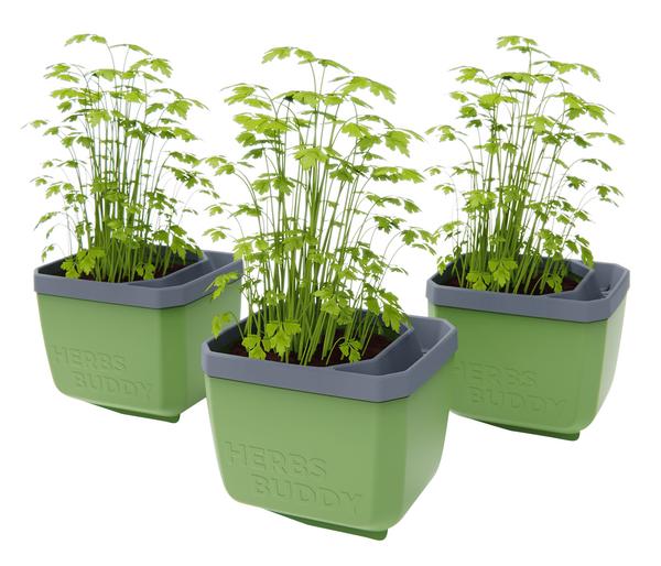 Gusta Garden Kräutertopf Herbs Buddy, ca.