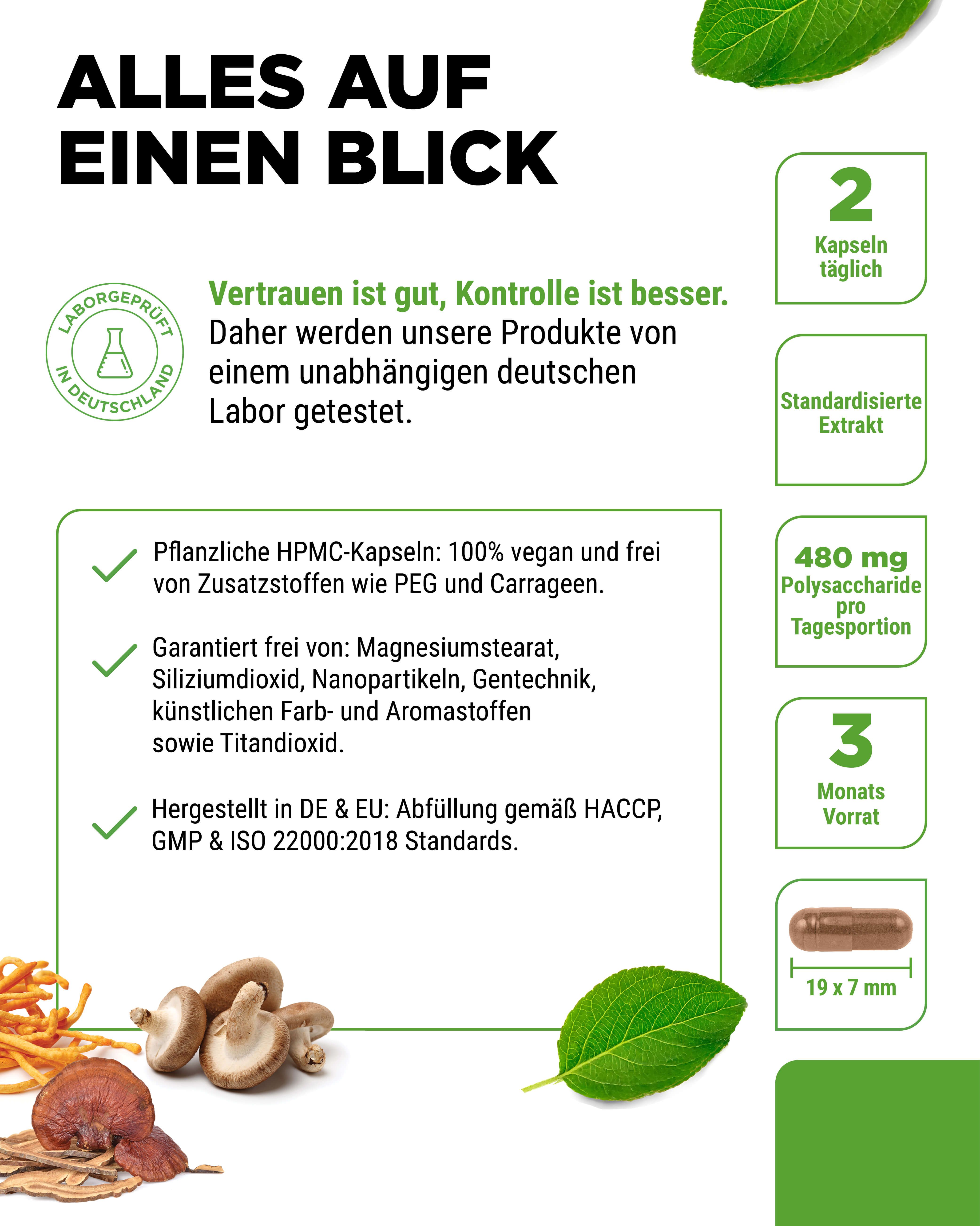 Vit4ever Pilz Komplex