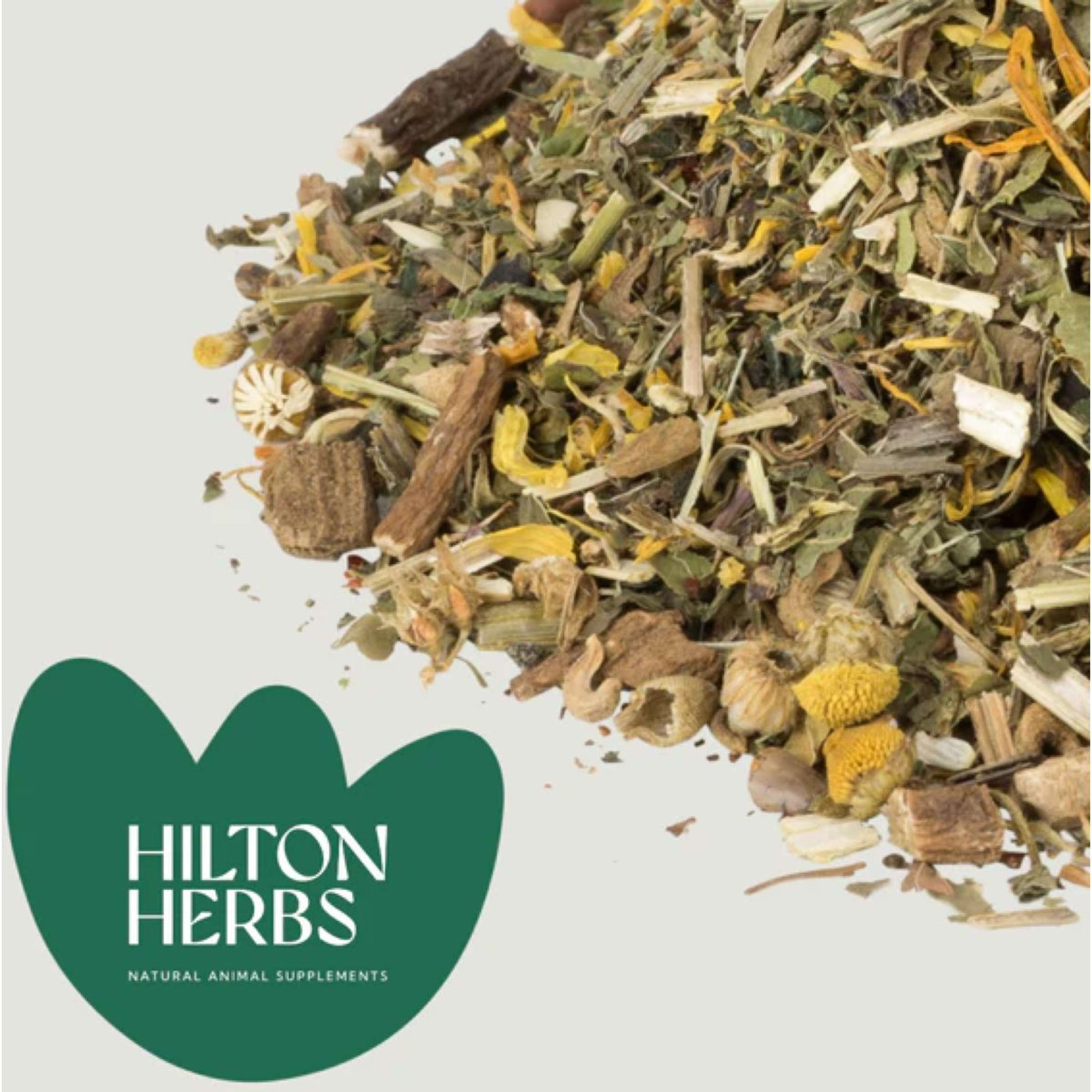Hilton Herbs Herb Power