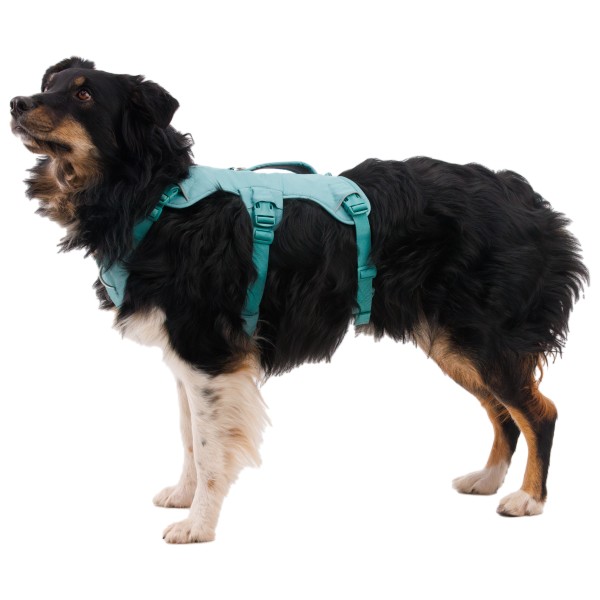 Ruffwear - Web Master Harness - Harnais pour chien