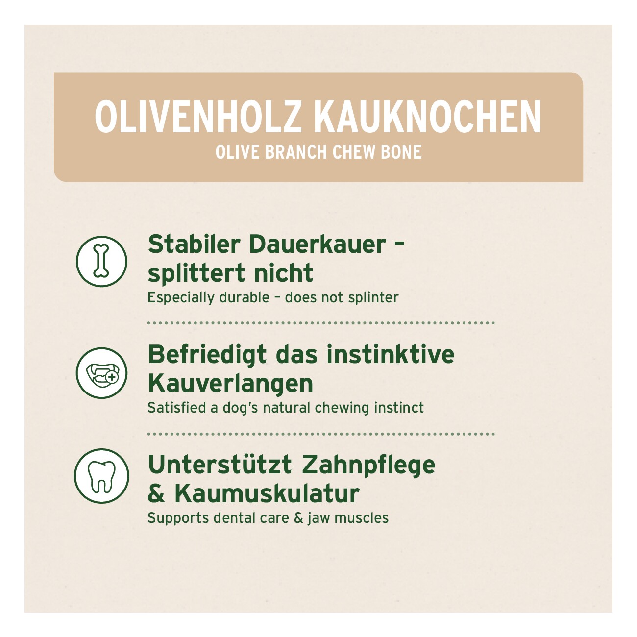 AniForte Olivenholz Kauknochen S