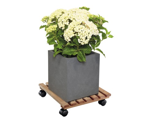 Wagner Nature plantenkar, els, 35x35 cm, bevroren, 100 kg