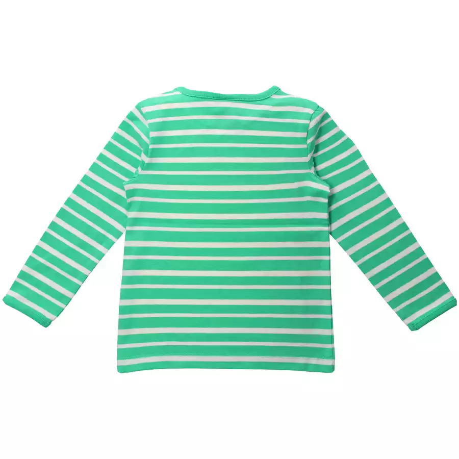 Villervalla Shirt Langarm Stripes kaktus
