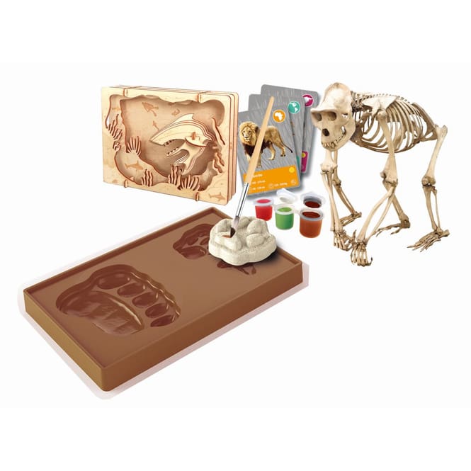 Galileo LAB - Entdeckungs-Set - Tiere auf unserer Erde