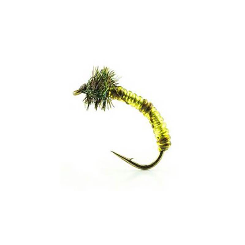 Mouche Devaux Chiro Jbc03