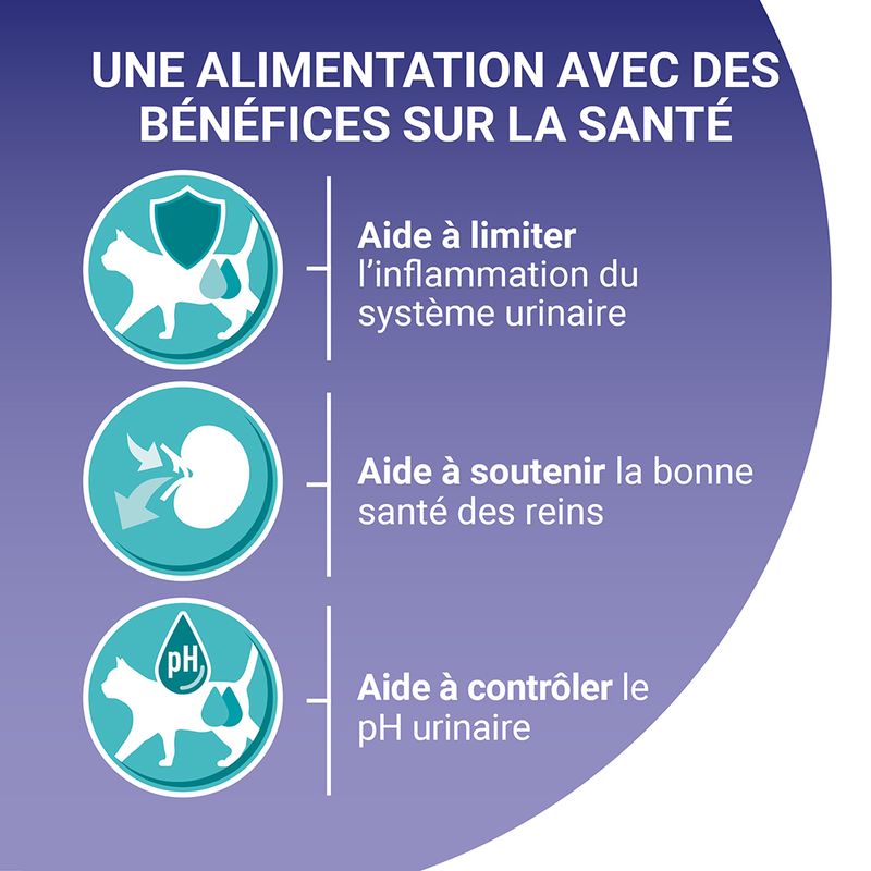 PURINA ONE Urinary Care au poulet à prix discount sur bitiba.fr