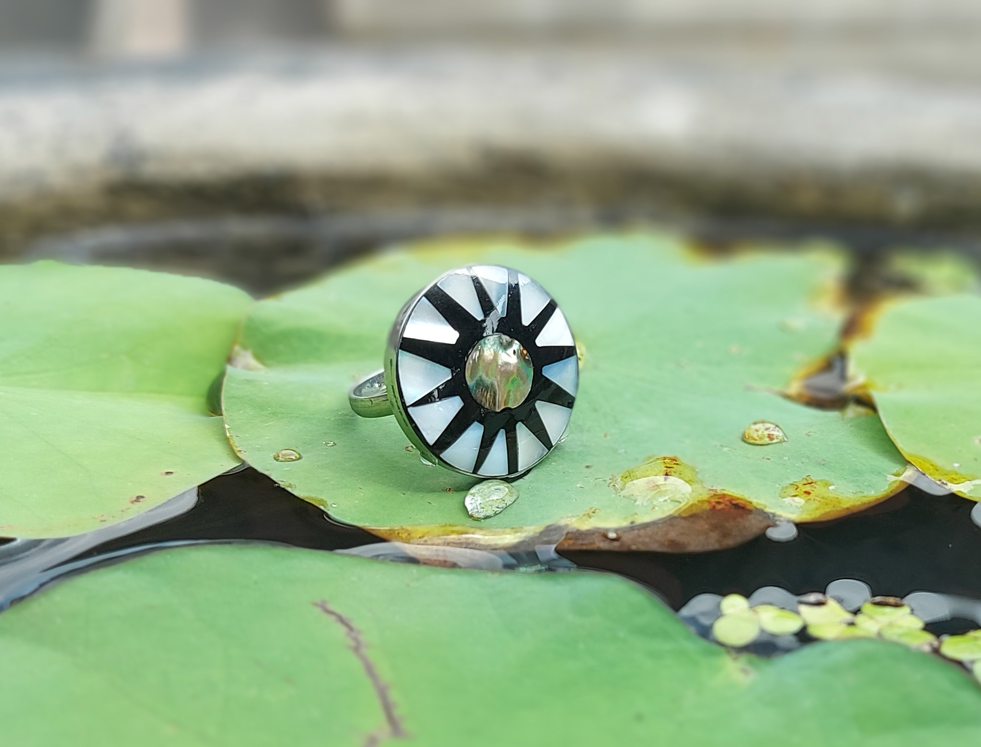 Muschelring 'Black Star', schwarz, perlmutt, Ø 2,5 cm günstig bestellen