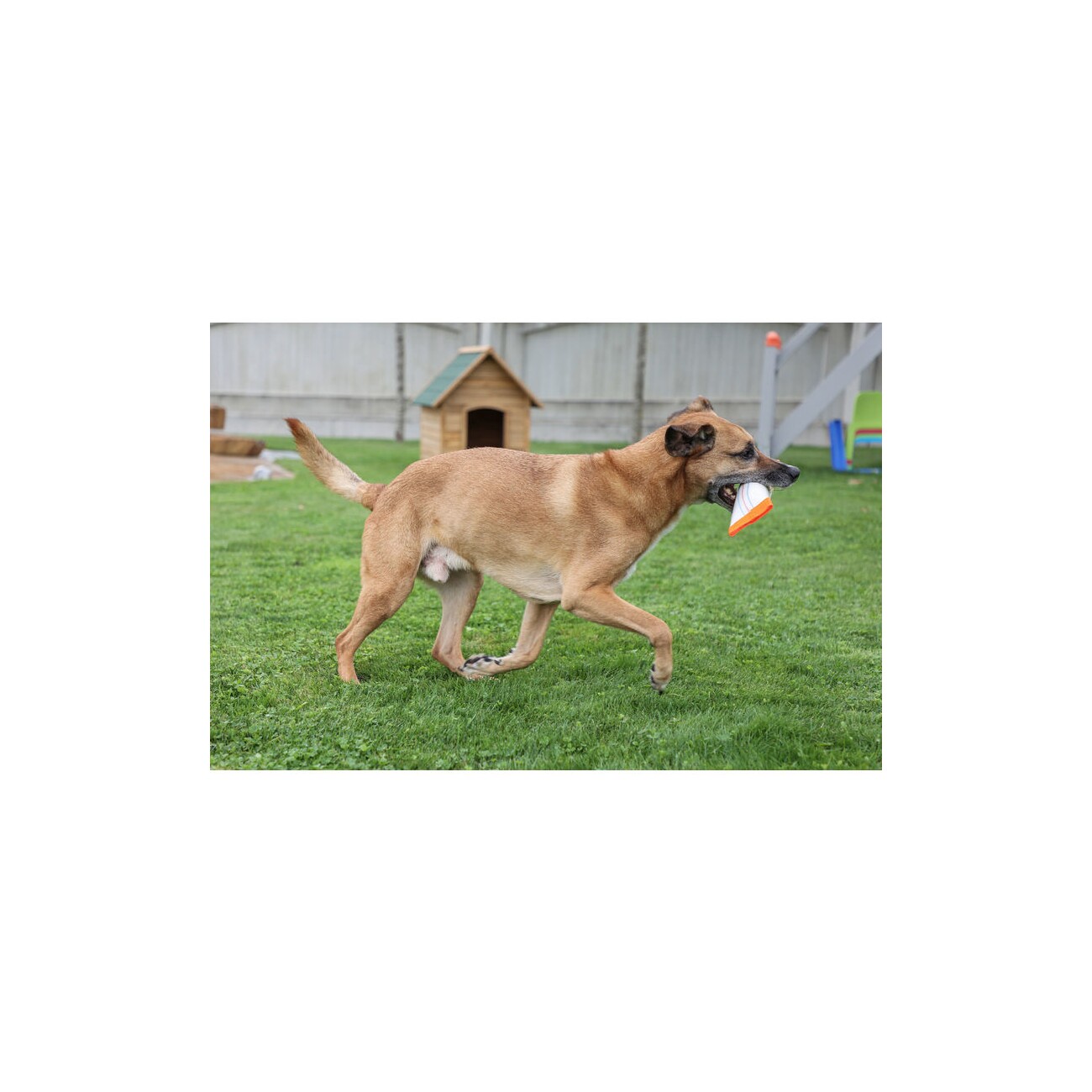 Kerbl Trainingsdummy mit Schlaufe weiß/orange, 30x8,5cm