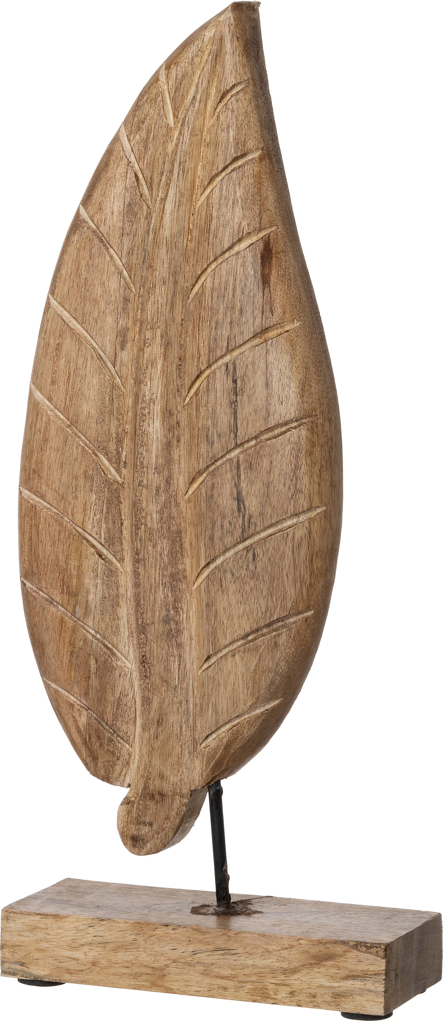 Intratuin beeld Blad naturel 15 x 6 x 37,5 cm