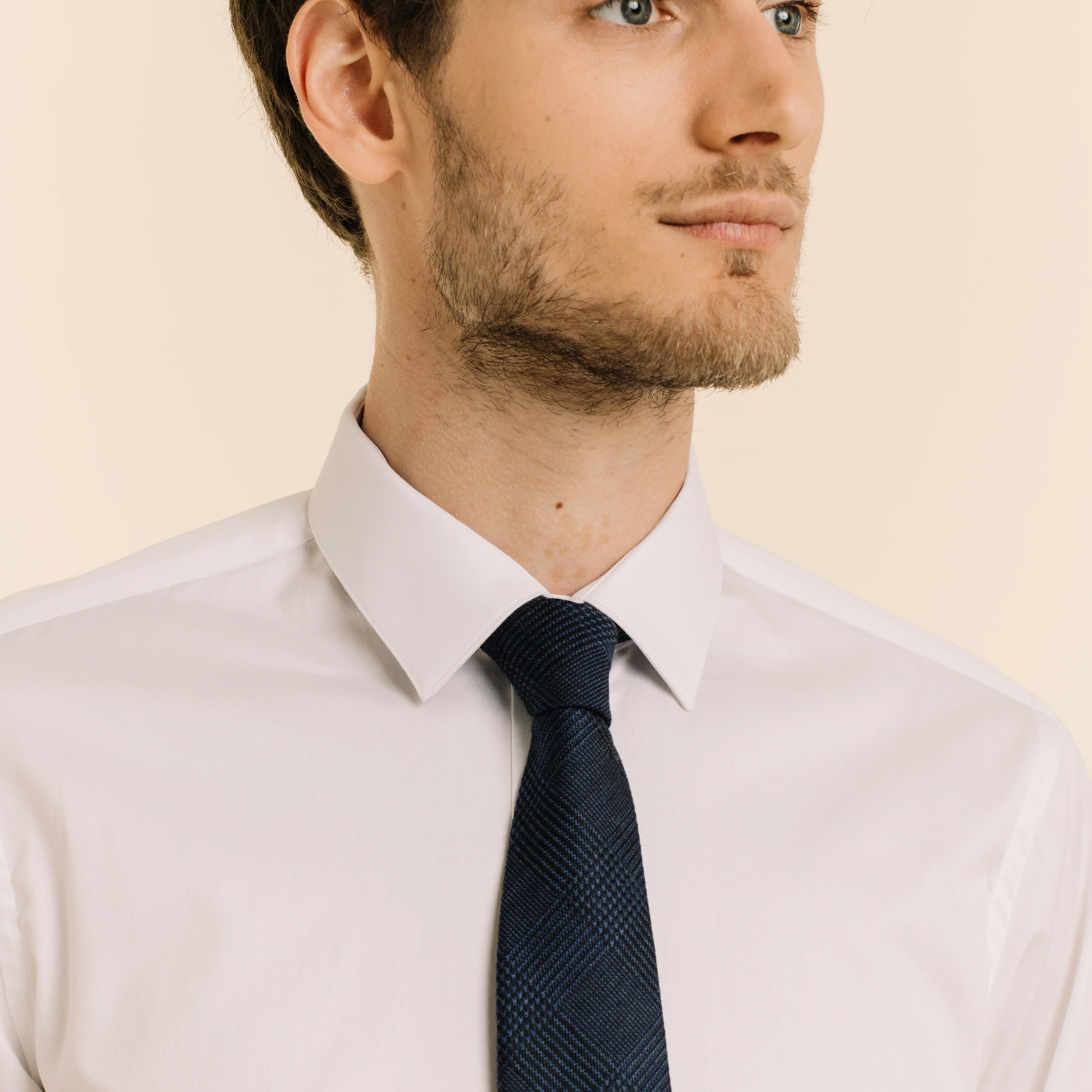 Blue Prince of Wales tie