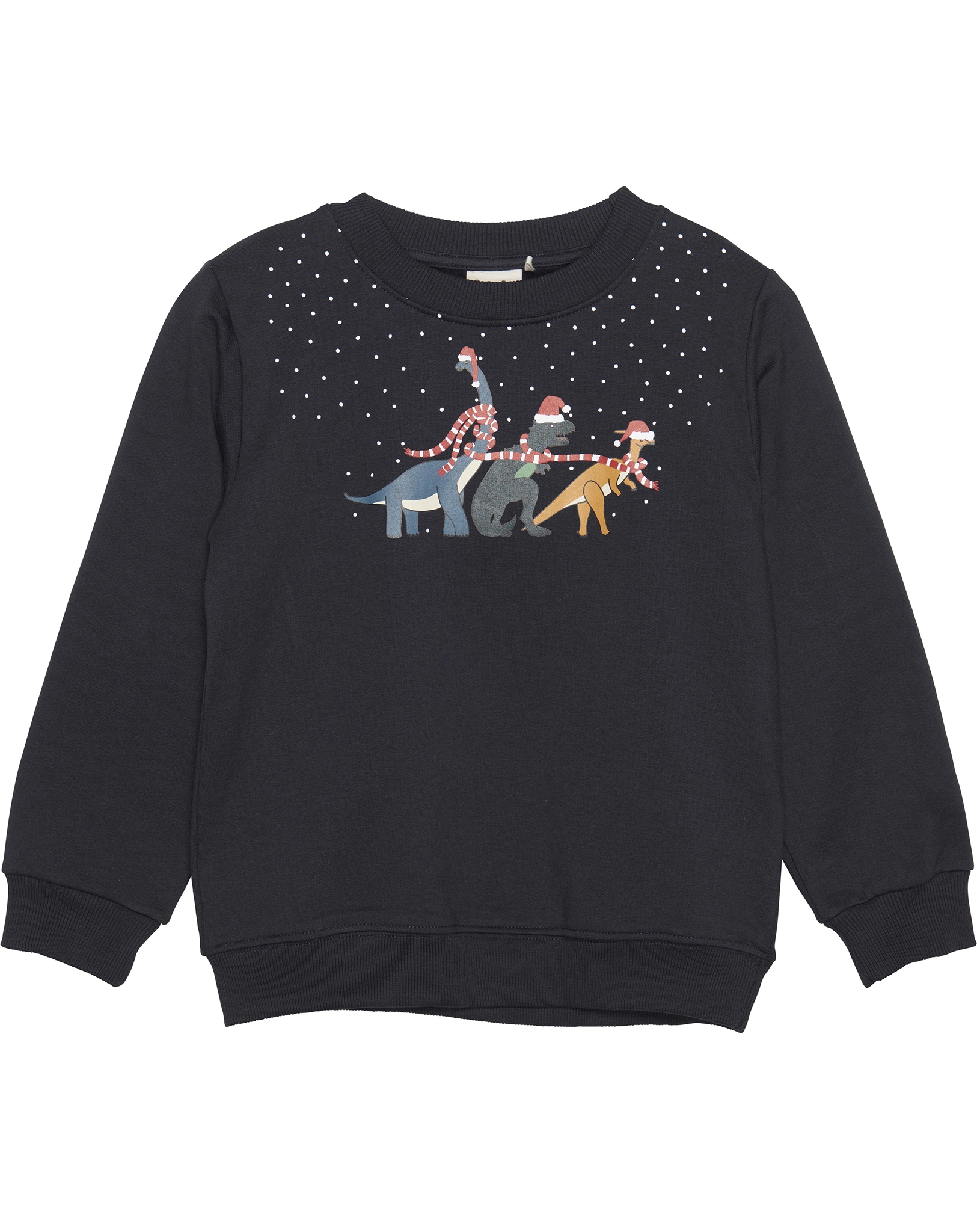 Sweatshirt WINTER DINOS in dunkelblau