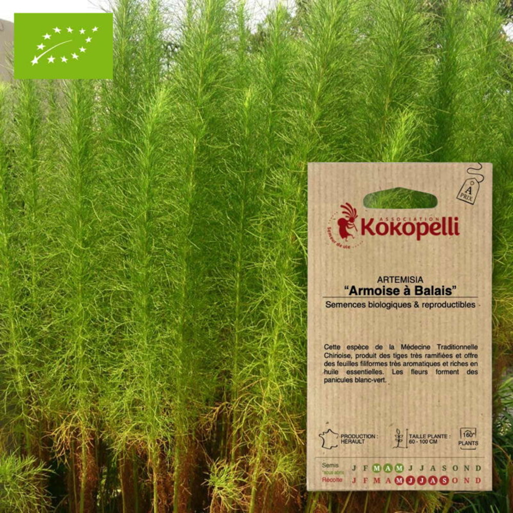 Sachet de graines bio à semerartemisia armoise à balais
