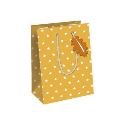 Clairefontaine - Sac cadeau - fox multicolore - 21,5 cm x 10,2 cm x 25,3 cm
