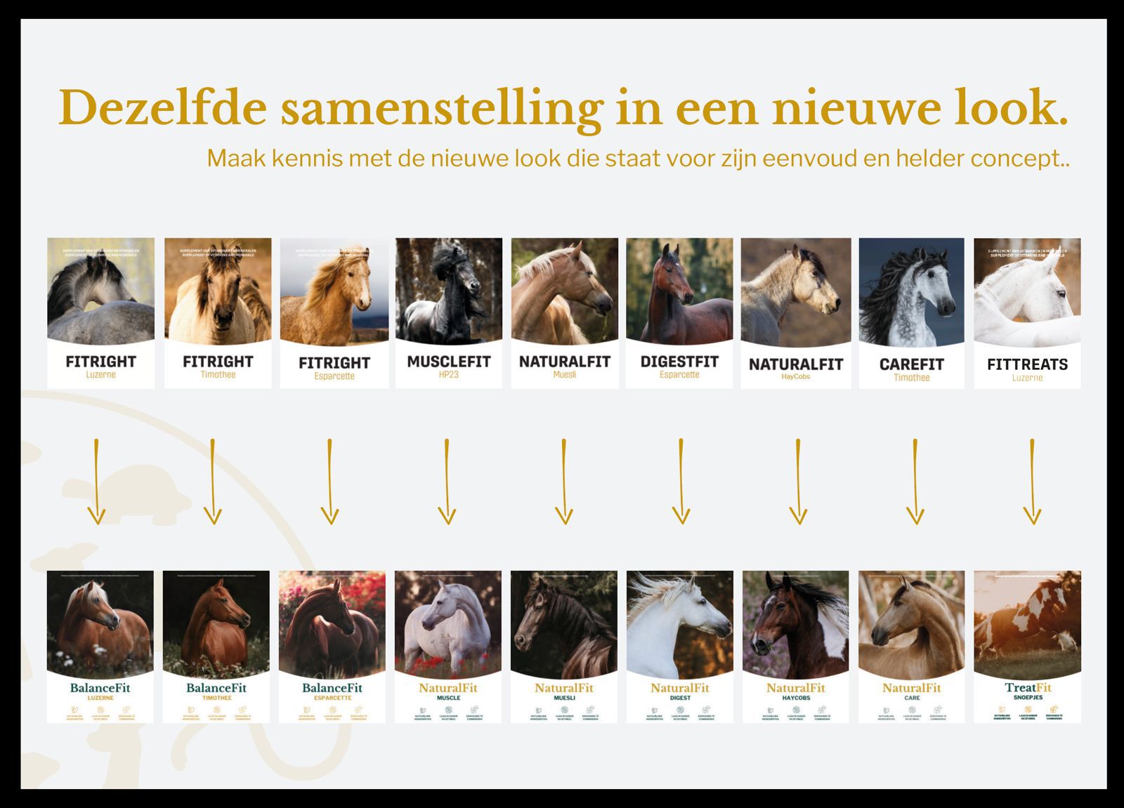 Metazoa Digestfit Esparcette - Specialiteit - Paardenvoer - 15 Kilogram - Zak