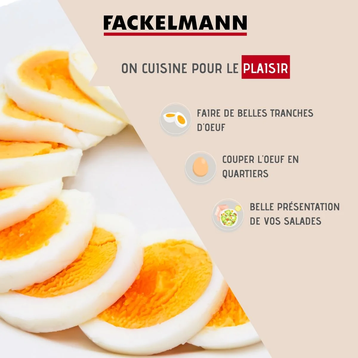 Coupe oeufs durs arrondi Basic Fackelmann