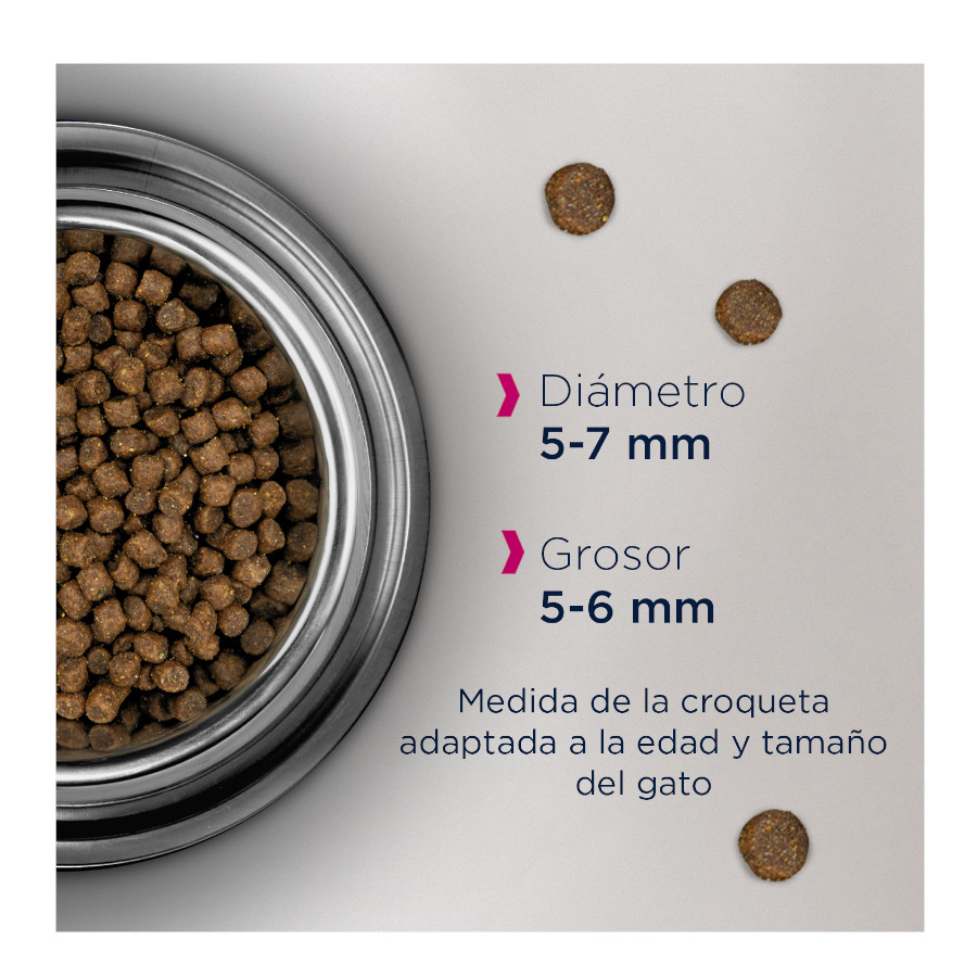 Comida de gato com frango para gatinho Eukanuba