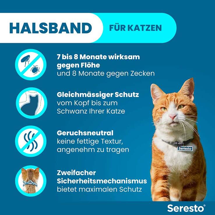 Seresto Halsband für Katzen, 1 St