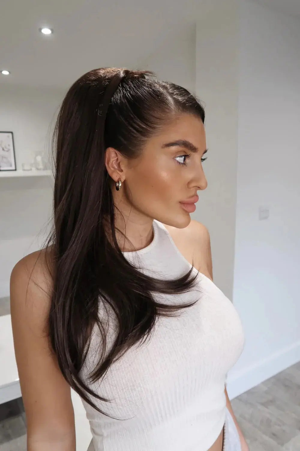 Sleek Full Body 22 Inch Ponytail Chocolate Brown