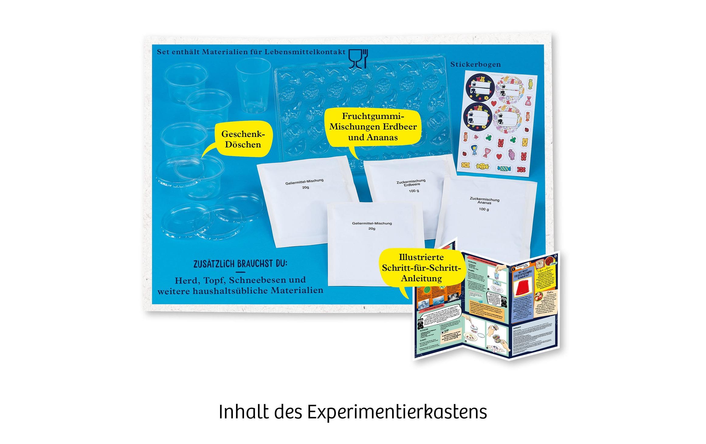 Experimentierkasten Fun Science: Fruchtgummi-LaborGummibärchen in zwei leckeren Sorten herstellen