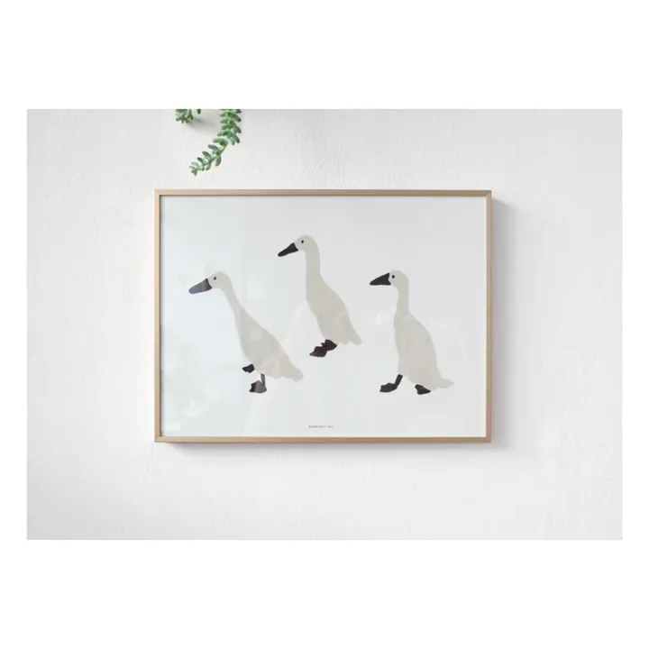 Warmgreytail Affiche Indian runner duck
