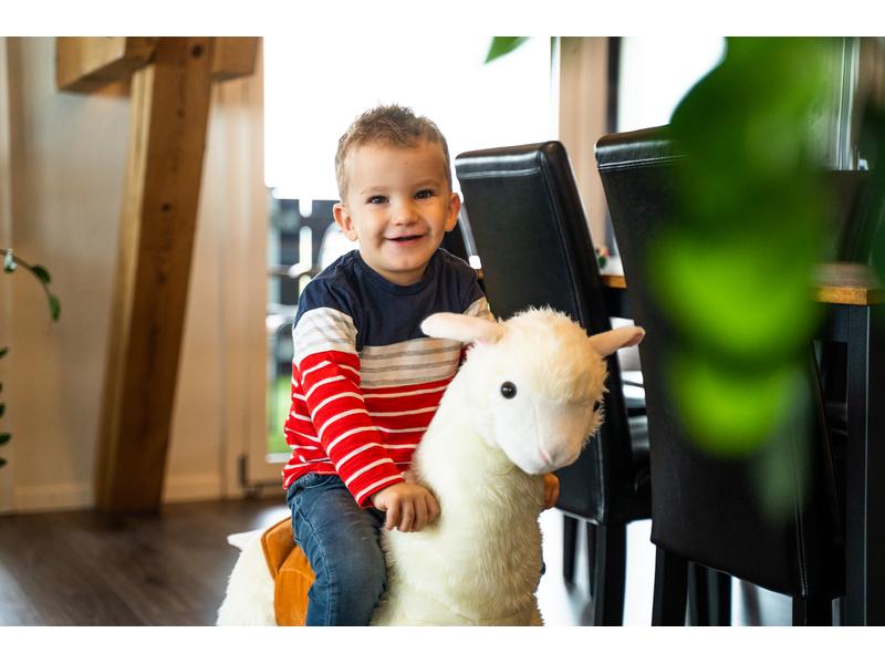zoosy Reittier Lama Reittier Lama mit Rollen an den Füssen