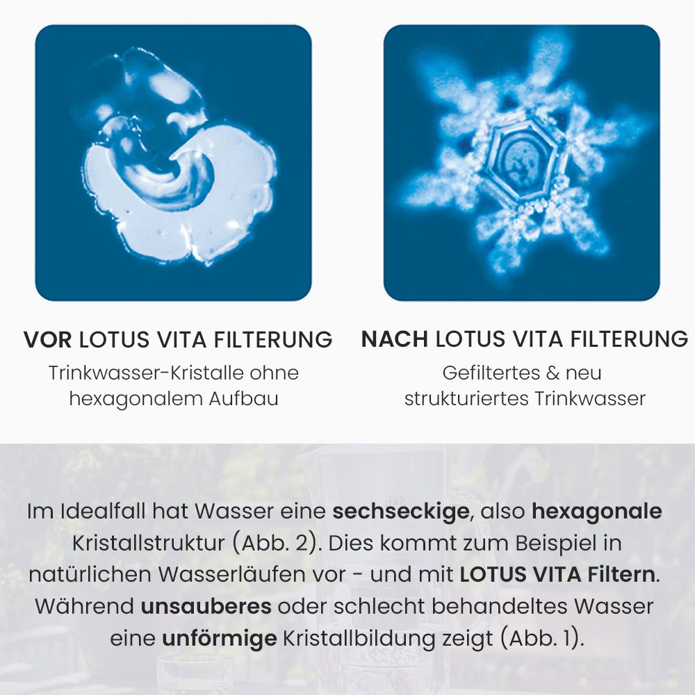 Lotus Vita Filterkartuschen Jahrespaket für Natura Plus Wasserfilter