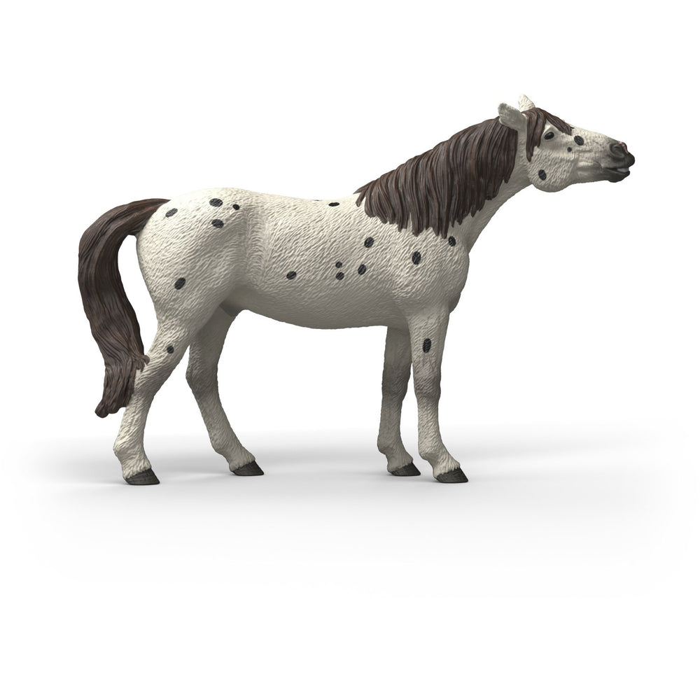 Køb Schleich Knabstrupper Vallak