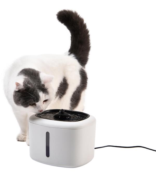 Dehner Lieblinge Trinkbrunnen USB, weiß, 2,5
