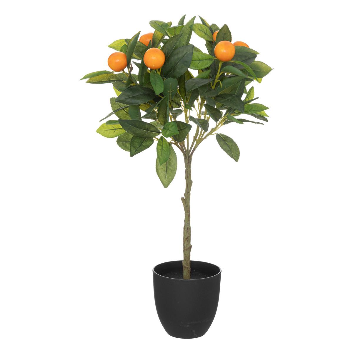 ORANGER EN POT NARANCS H.58CM