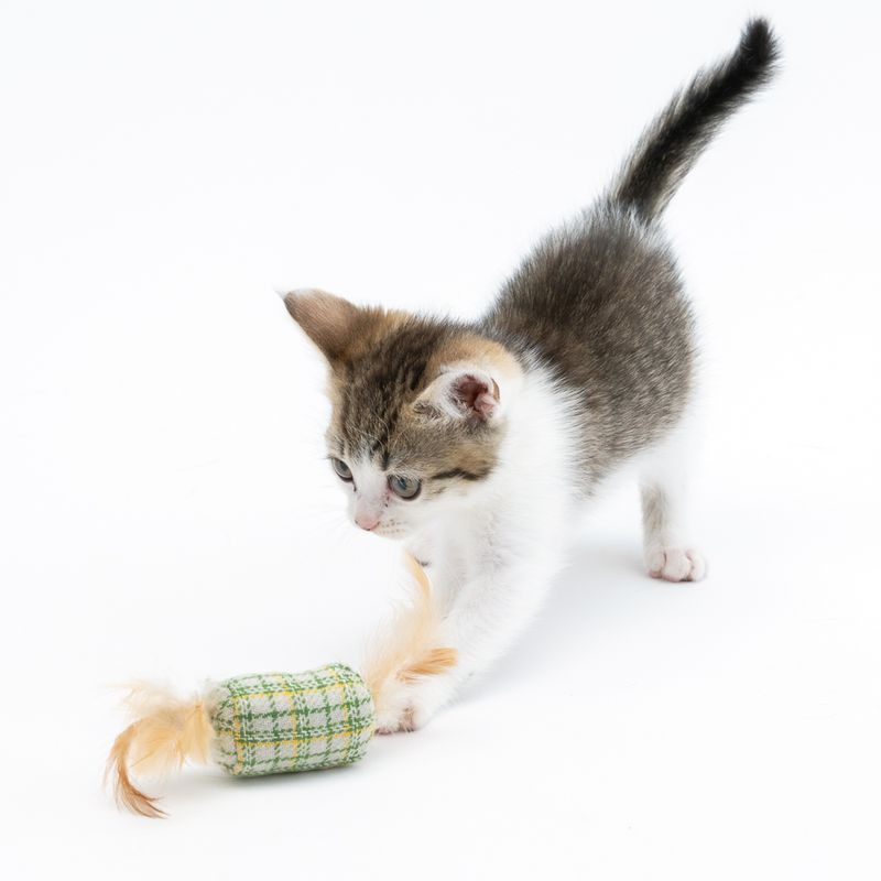 Lot de jouets Modern Living Glasgow Bonbon & Souris avec menthe à chat